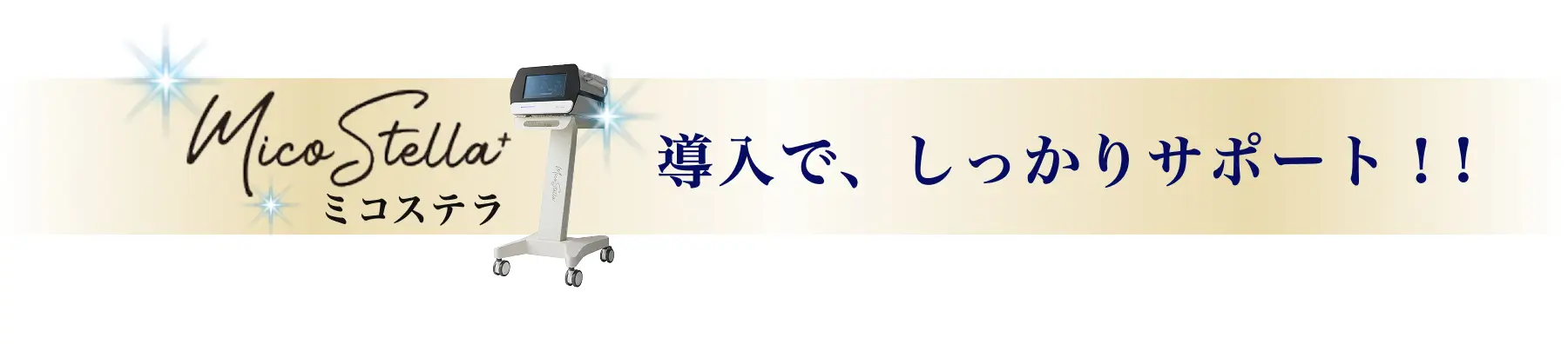 エアインジェクション　ミコステラ