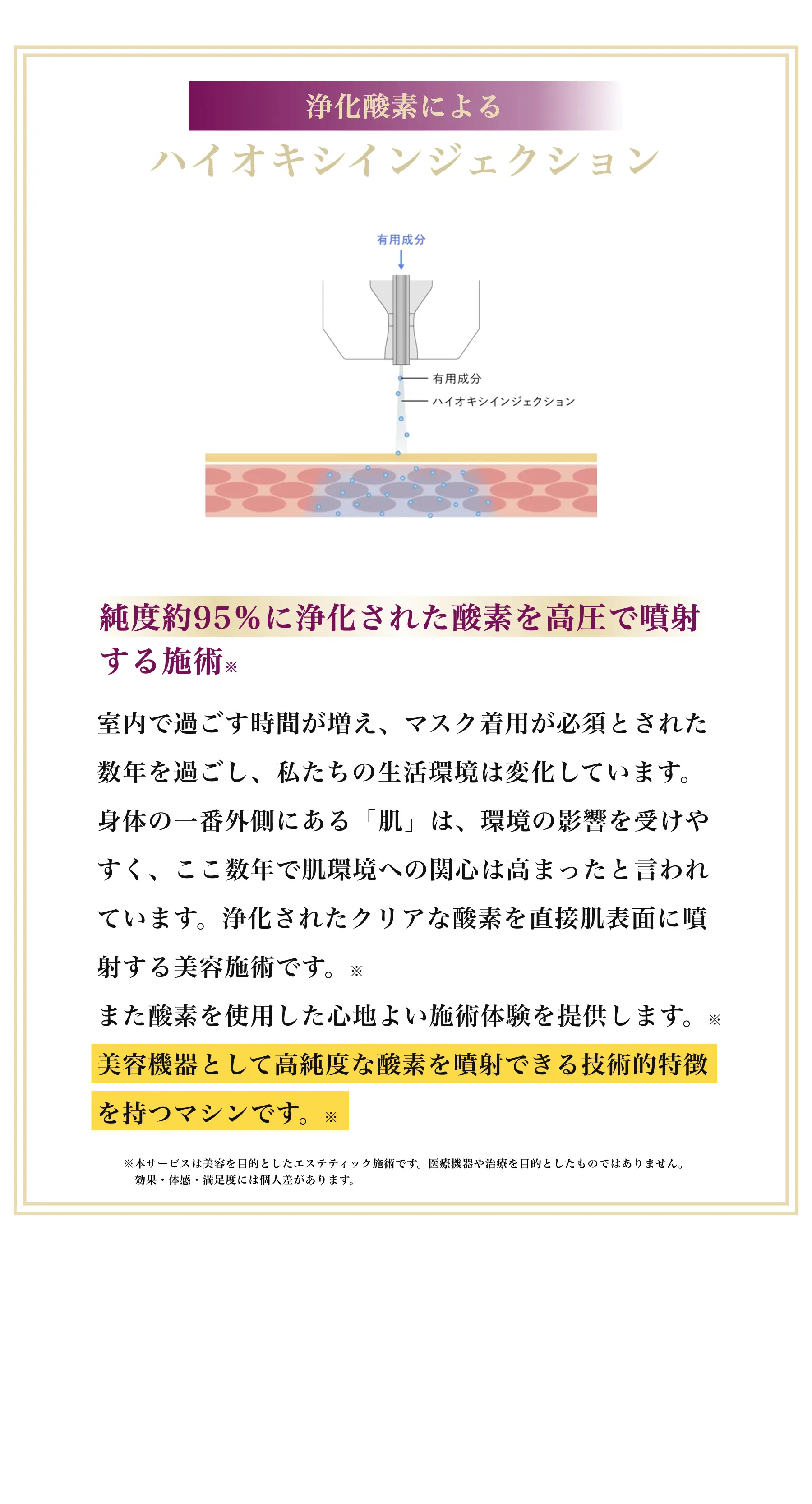 エアインジェクション　ミコステラ