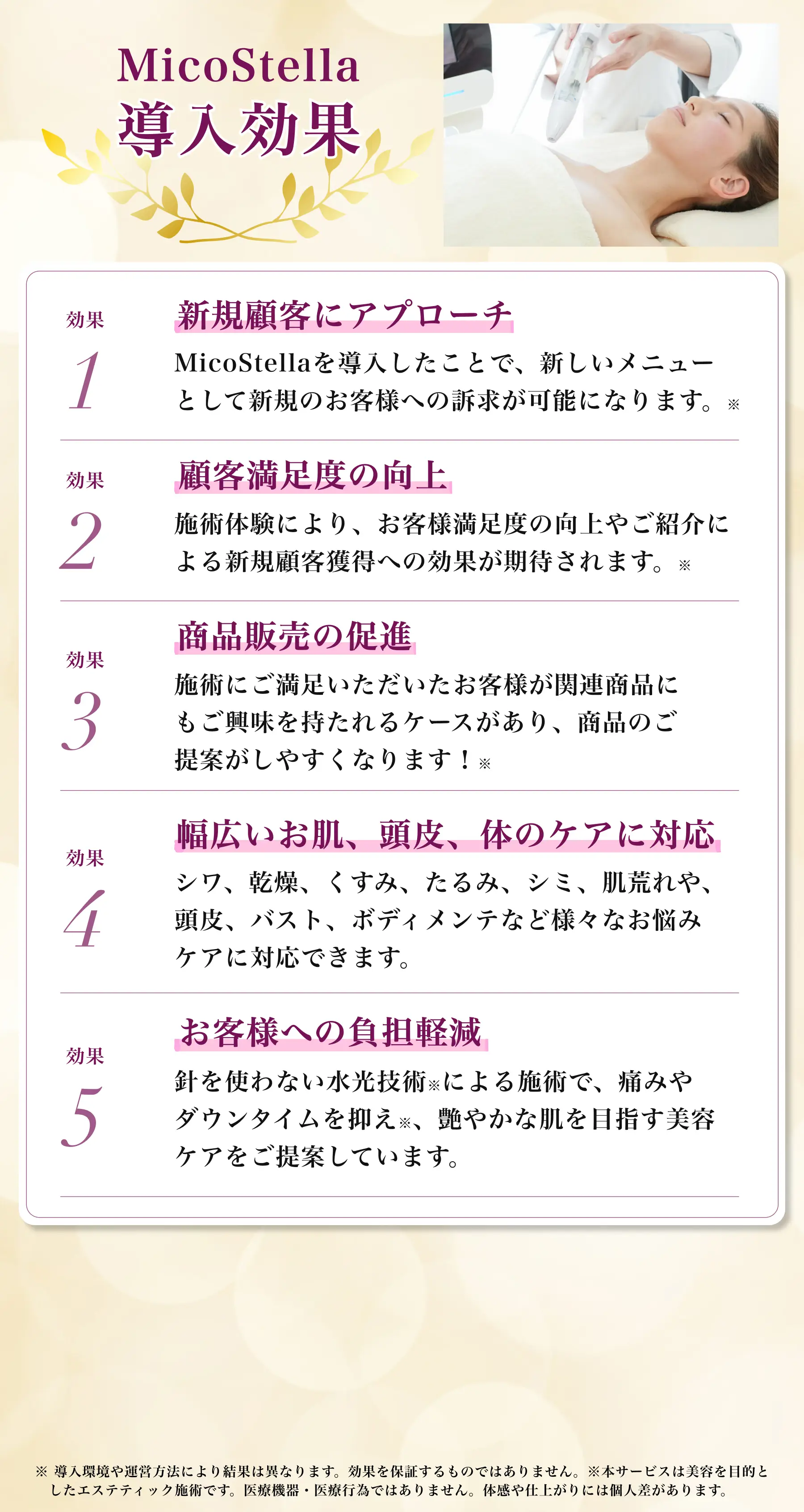 エアインジェクション　ミコステラ